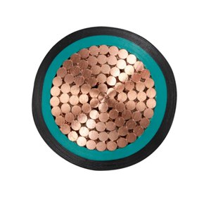 雙塑電線 BVV電纜